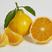 阳光一号桔柚大量上市细嫩化渣甜度高可对接电商全国