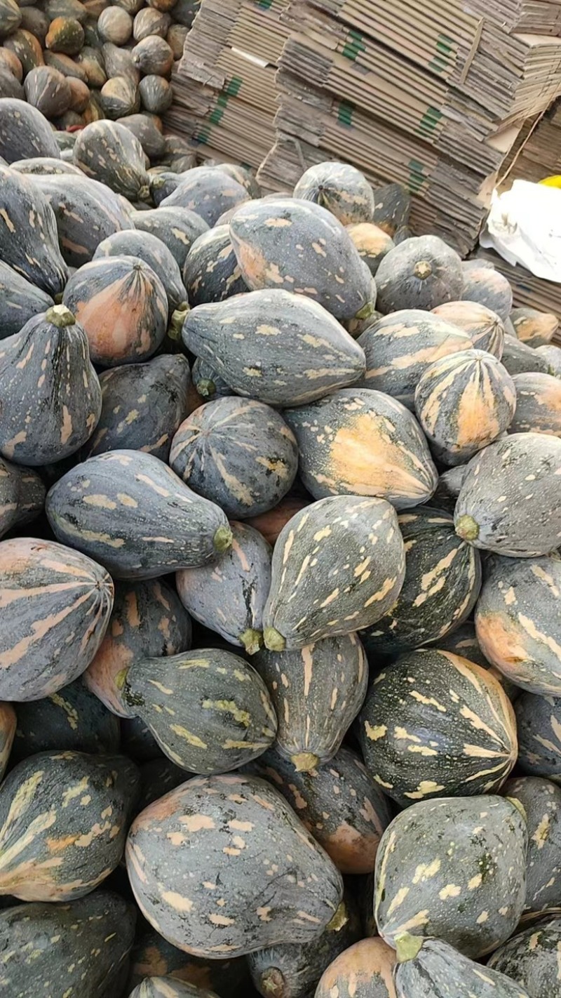 广东香芋南瓜，大量现货，甜好吃，自家种植，一手货。