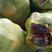 广东香芋南瓜，大量现货，甜好吃，自家种植，一手货。