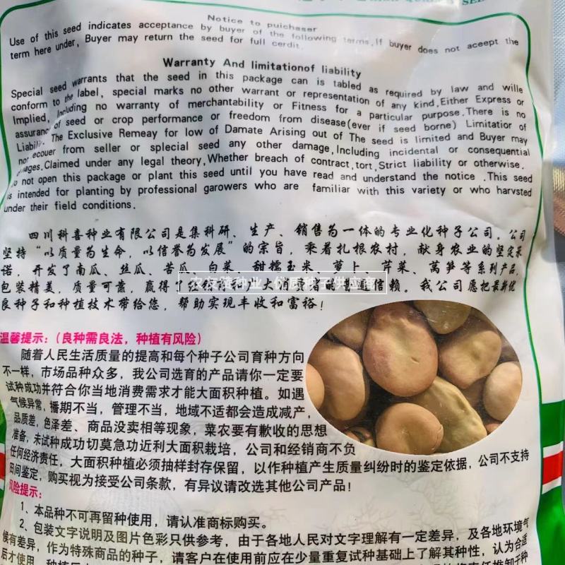 七粒香蚕豆种子大粒高产胡豆种子七粒香蚕豆种籽甜糯