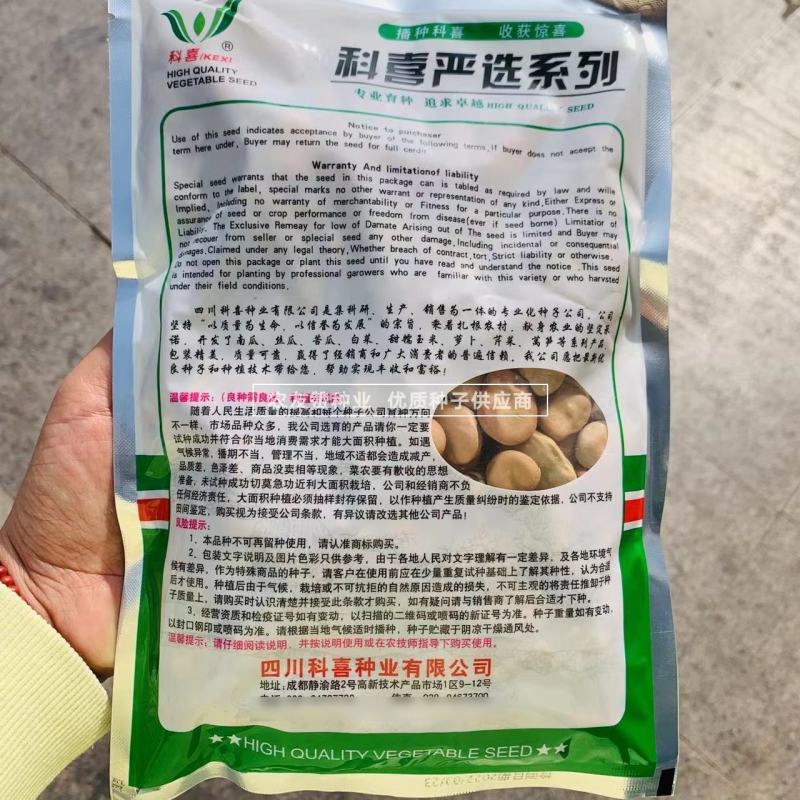 七粒香蚕豆种子大粒高产胡豆种子七粒香蚕豆种籽甜糯