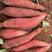 西瓜红红薯大量上市产地直发对接各大电商批发商