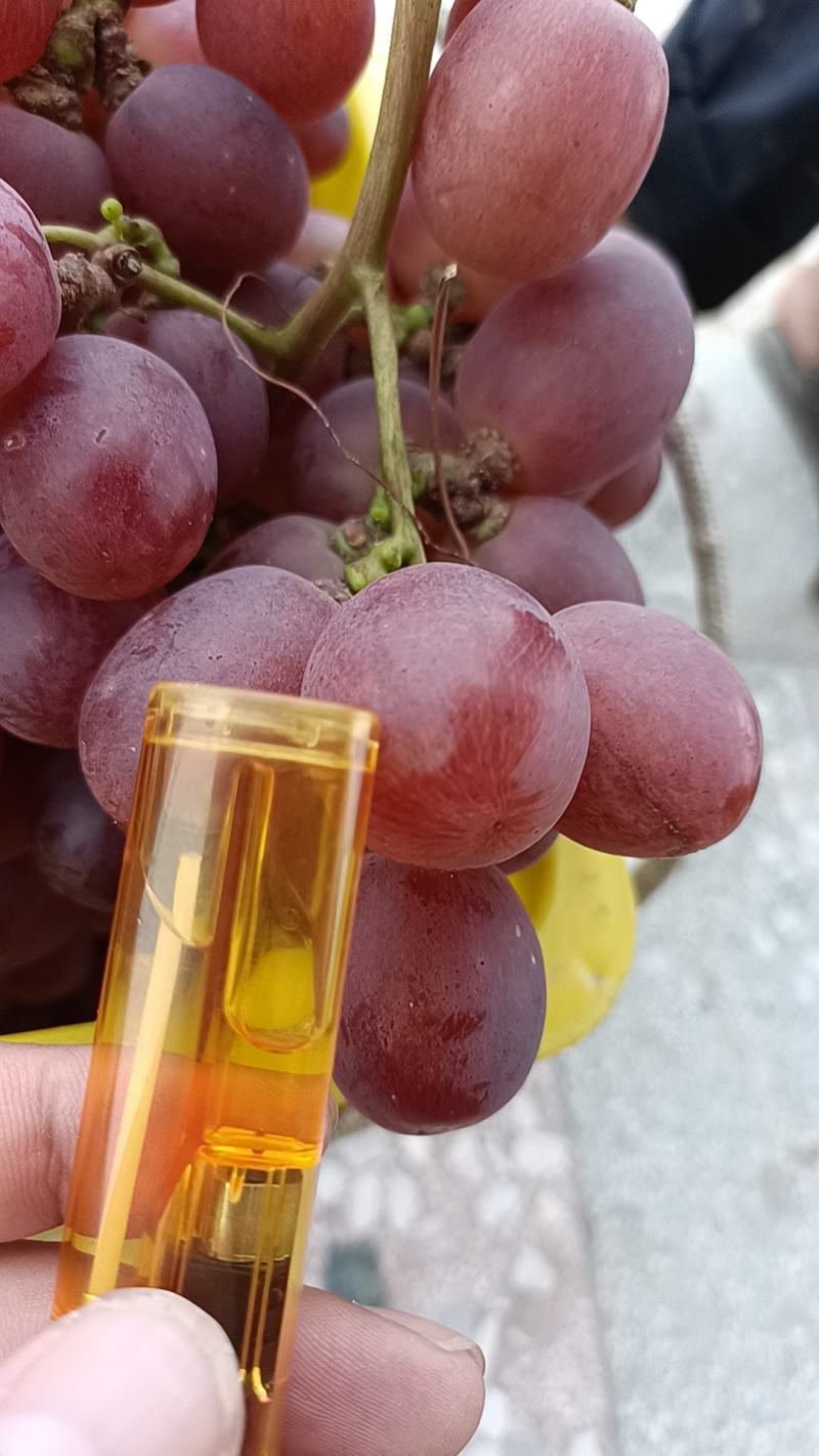 红提大量上市价格美丽，蓝玉葡萄2.8。糖度18以上。