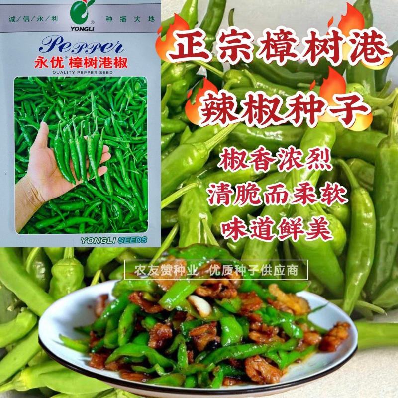 永优樟树港辣椒种子樟树镇特产辣椒种子椒香浓烈特耐寒早熟