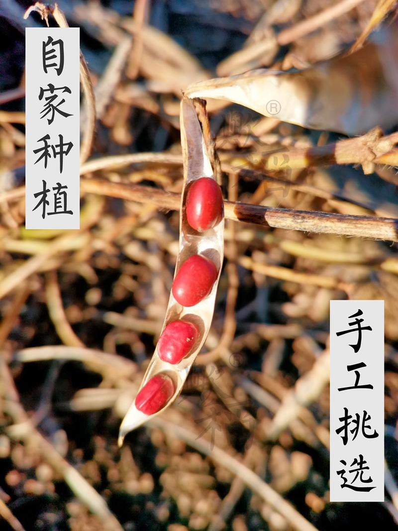 红小豆农家自产圆粒非赤豆有机肥非转基因黑龙江天然杂粮
