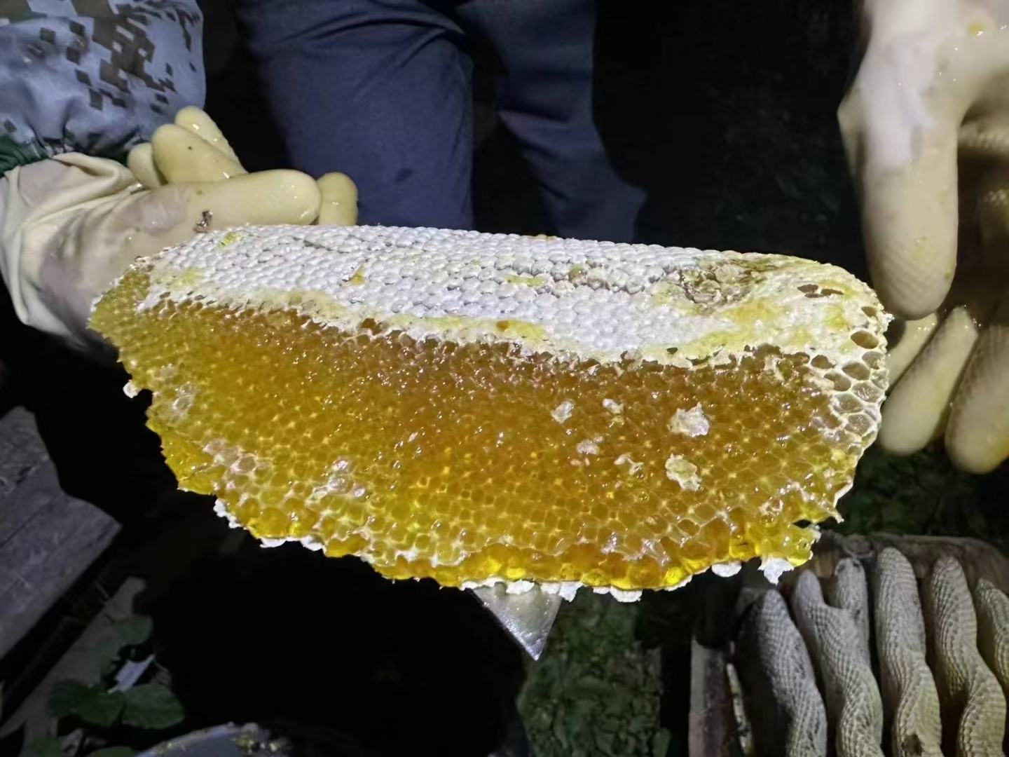 蜂蜜结晶状态展示图