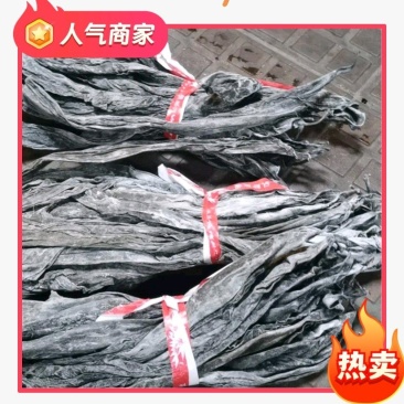 福建海带头，35-40公分长，精品货无污染，一手货源