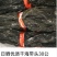 福建海带头，35-40公分长，精品货无污染，一手货源