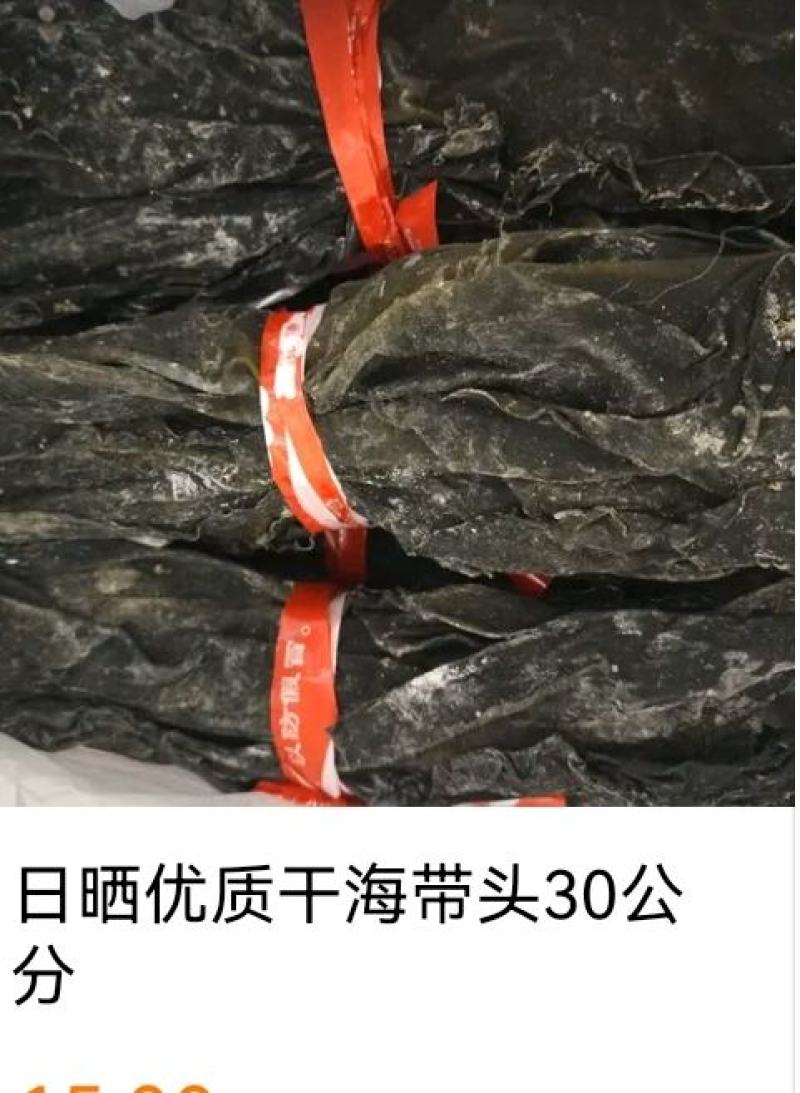 福建海带头，35-40公分长，精品货无污染，一手货源