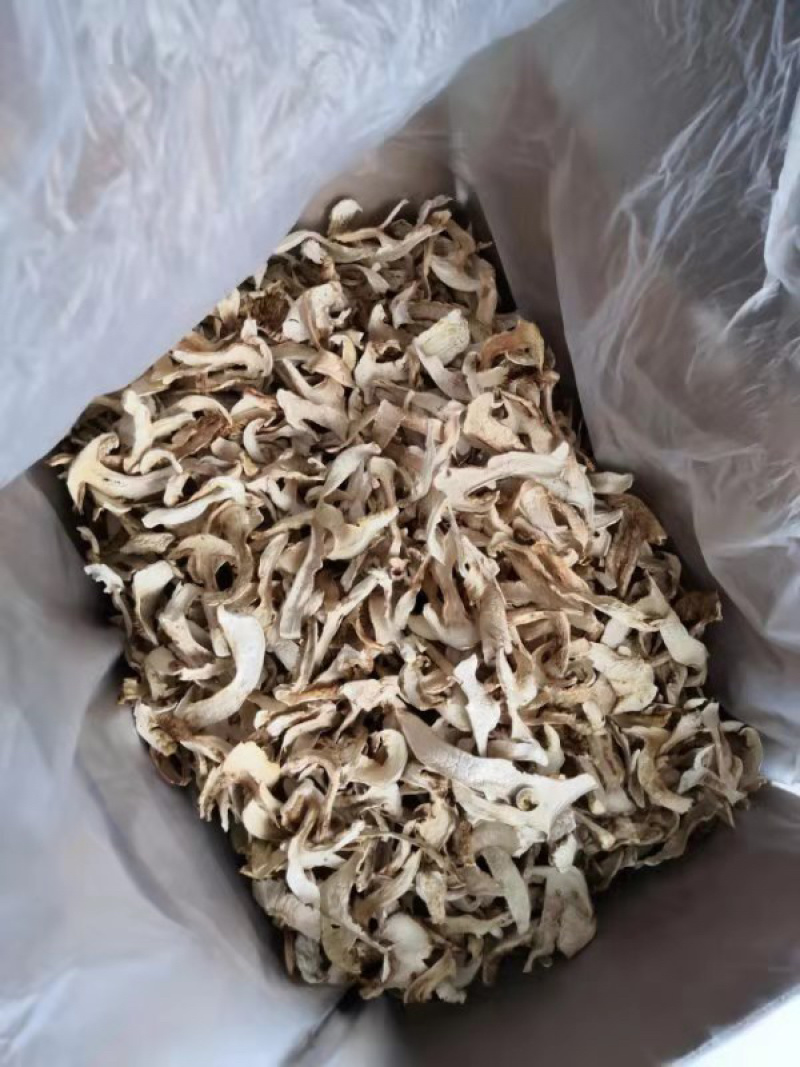 松茸松茸干片刮皮