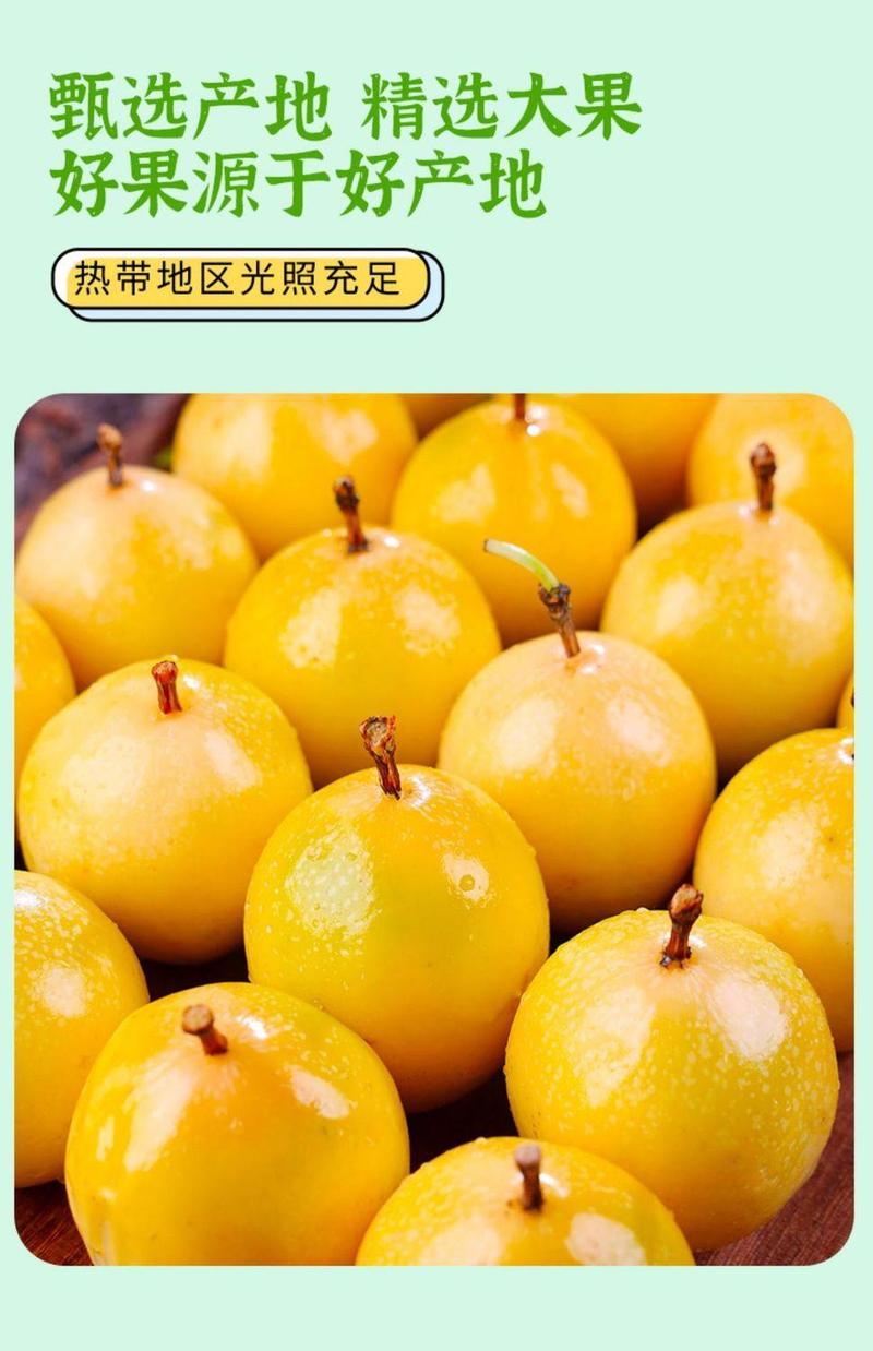 钦蜜9号黄金百香果当季新鲜水果1/2/3/5斤中大果香甜