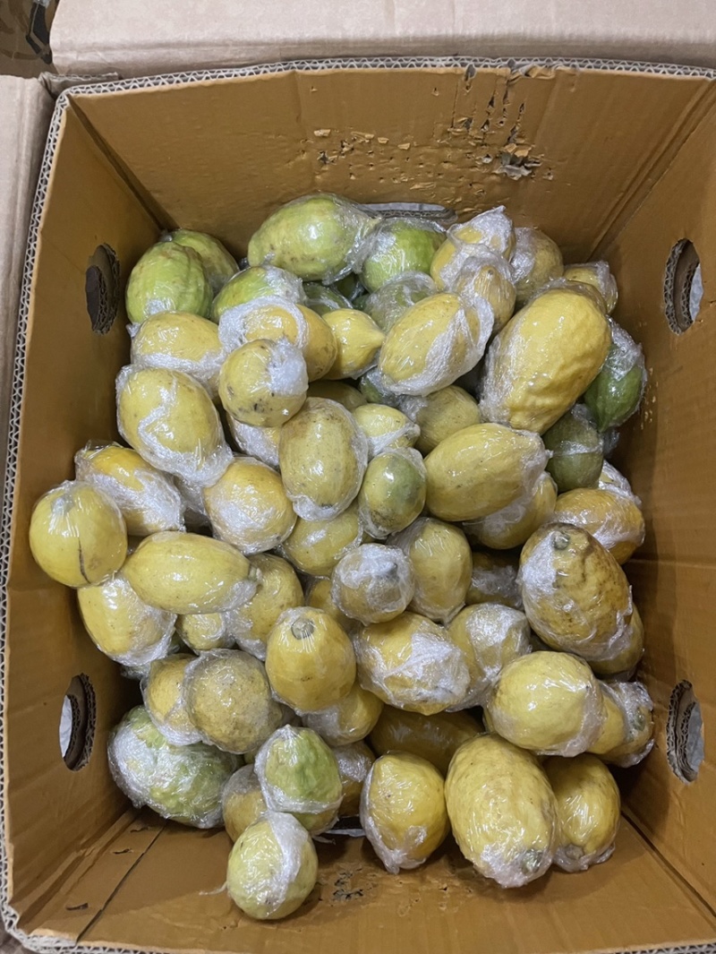 新鲜广东香水黄柠檬🍋