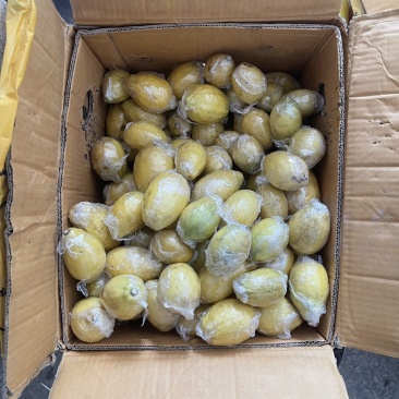 新鲜广东香水黄柠檬🍋
