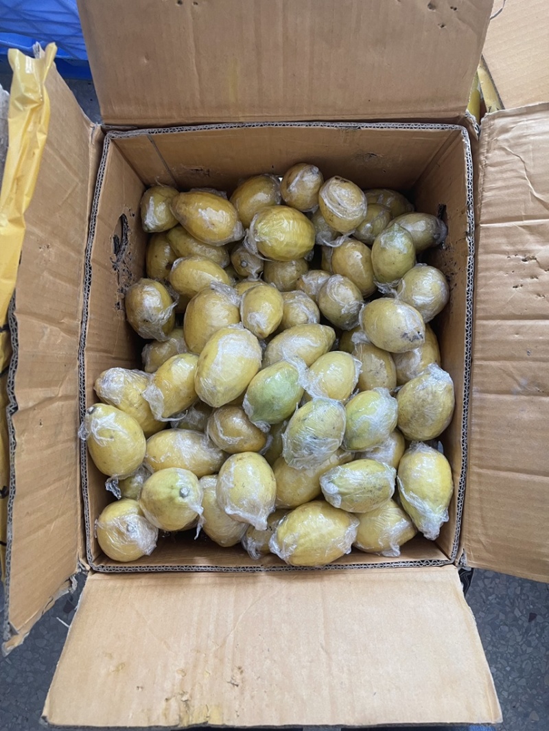 新鲜广东香水黄柠檬🍋