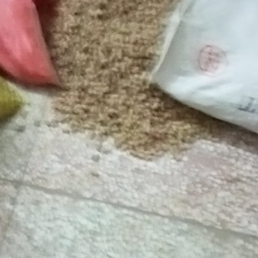 湿花生