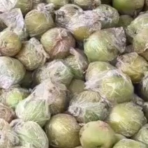 【热卖】隰县落树玉露香梨市场商超电商可供品质好价格优惠