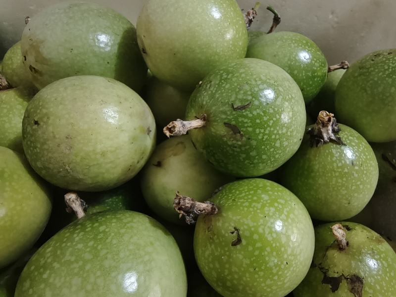 软蜜九号百香果