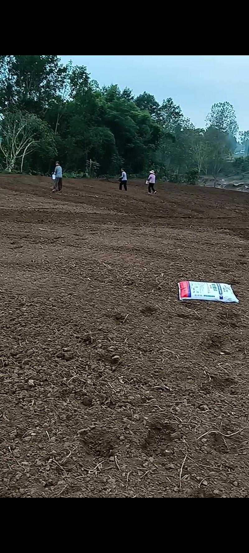 土地转让四川南充市蓬安县营山县河边沙地出租