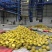 新鲜上市正宗福建平和琯溪蜜柚白肉蜜柚鲜嫩多汁