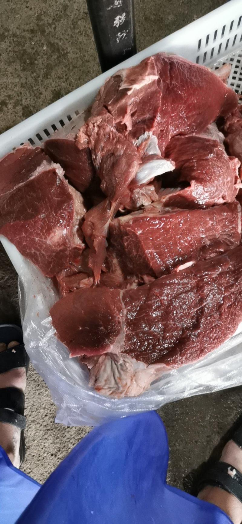 精修牛腿肉，大块牛肉，精修黄牛肉，安徽黄牛肉