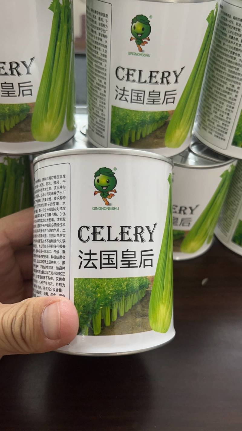法国皇后西芹种子高抗病毒病色泽淡黄晶莹透亮