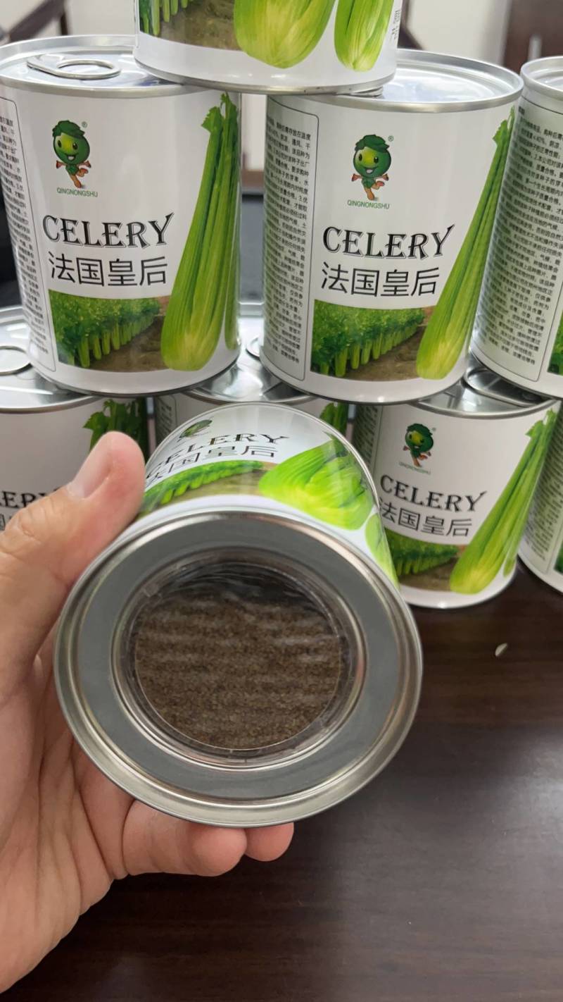 法国皇后西芹种子高抗病毒病色泽淡黄晶莹透亮