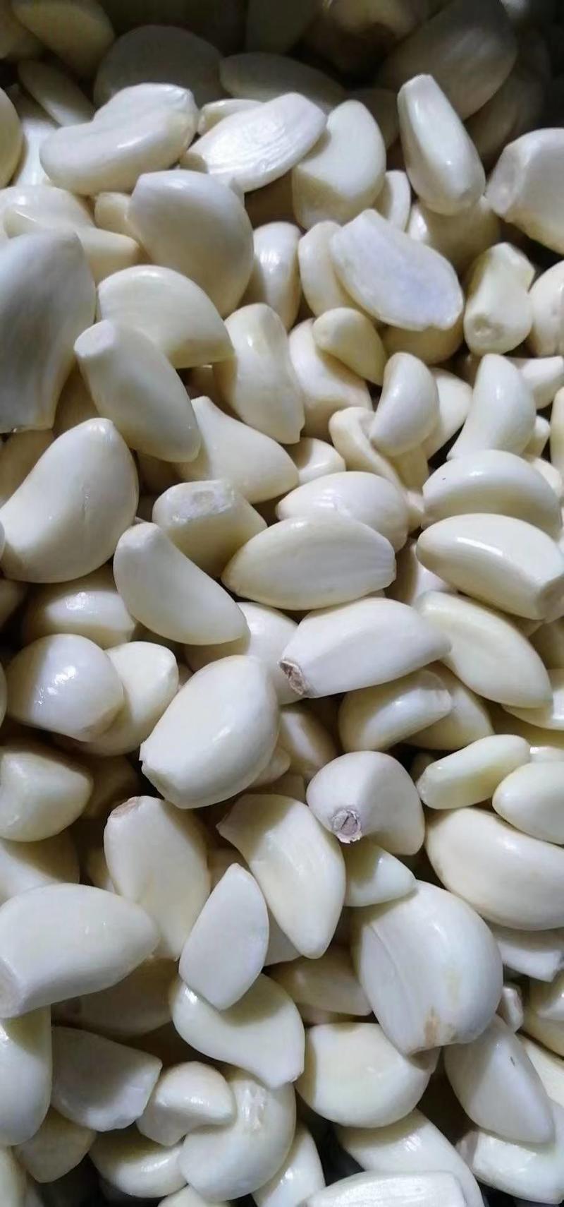 新干蒜出口级4~6公分精品紫皮蒜6公分保证质量全国发货