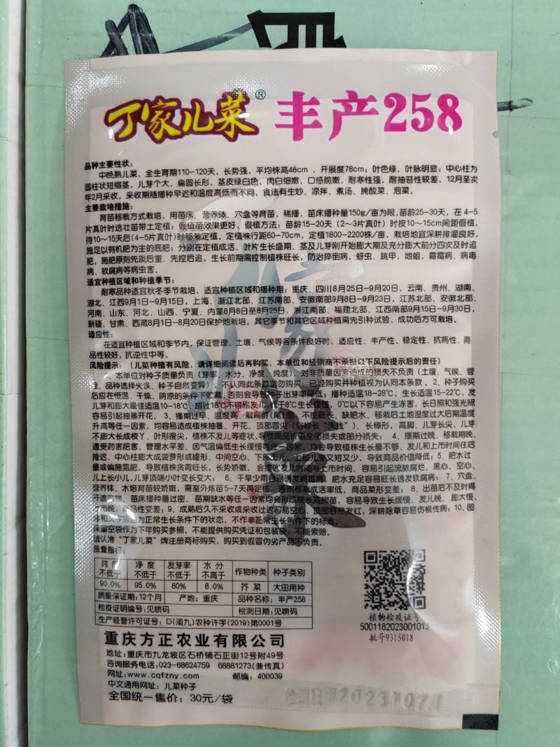 丁家儿菜种子早熟儿菜种子抱子芥种子早熟中心柱大
