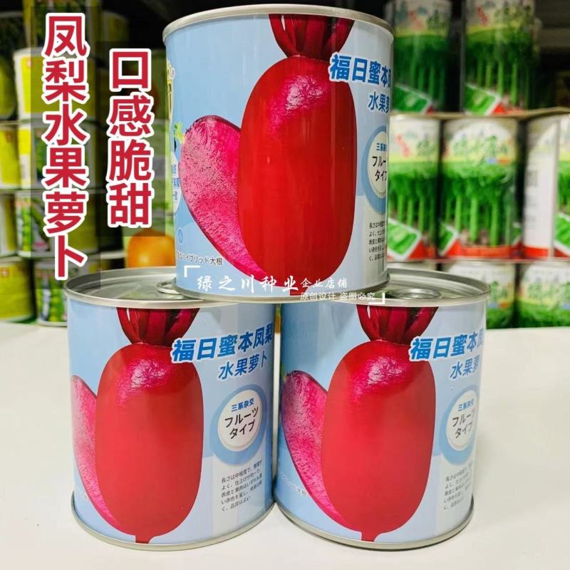 福日蜜本凤梨水果萝卜种子口感脆甜糖度高红皮红肉萝卜种子