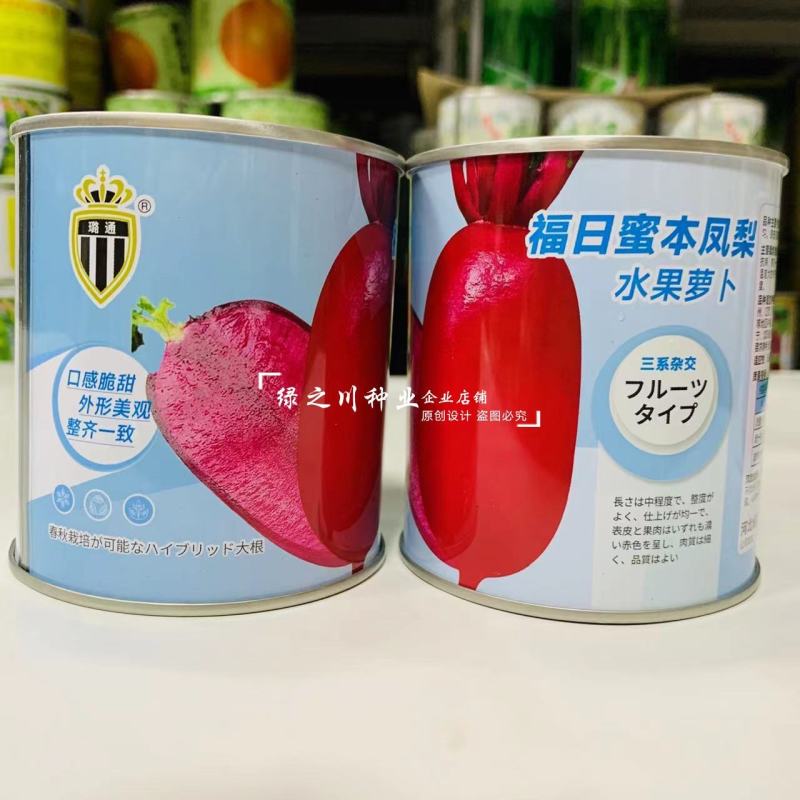 福日蜜本凤梨水果萝卜种子口感脆甜糖度高红皮红肉萝卜种子