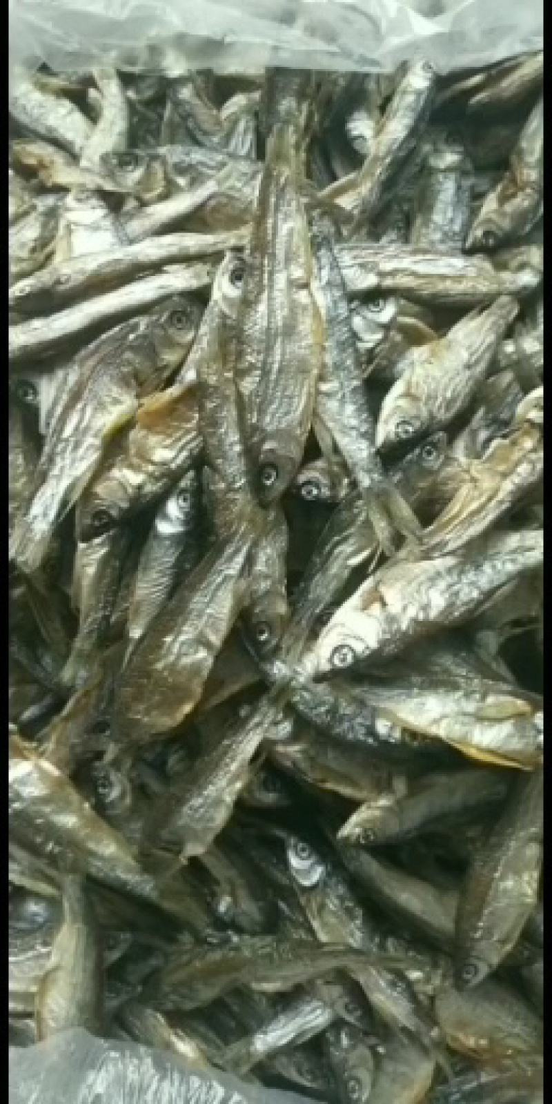 桃花马口鱼干烤干烘干无盐干