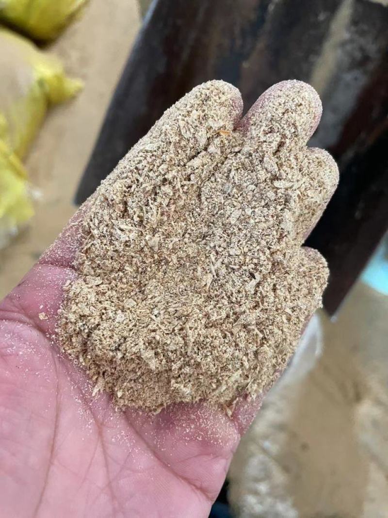 新鲜豆渣，发酵豆渣，脱水都渣，烘干豆渣大量出售。