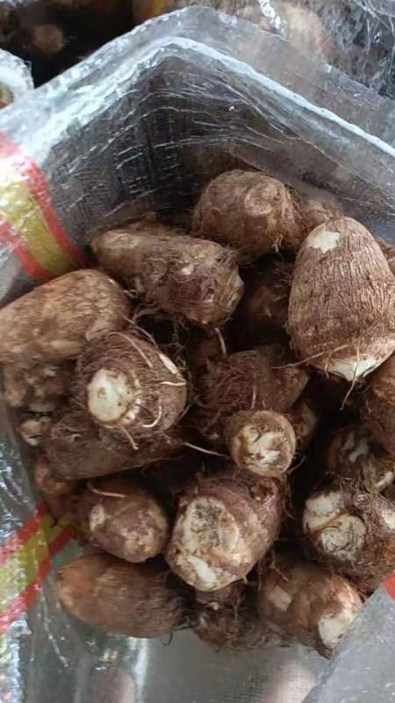 山东省沂水县芋头产地大量出售！价格便宜质量好