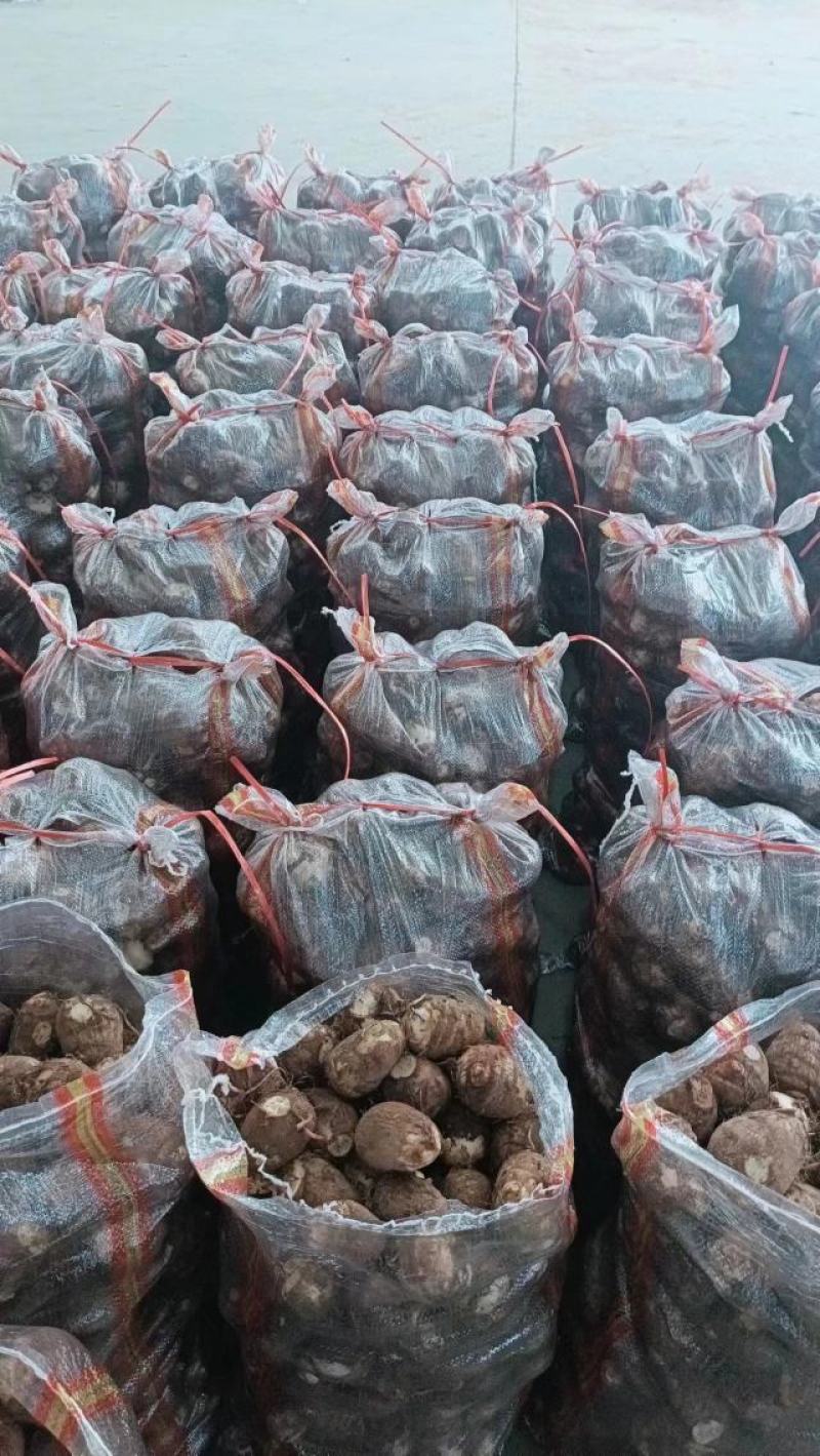 山东省沂水县芋头产地大量出售！价格便宜质量好