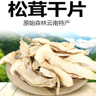 松茸云南特产松茸干片干净无杂菌香浓郁营养丰富包邮