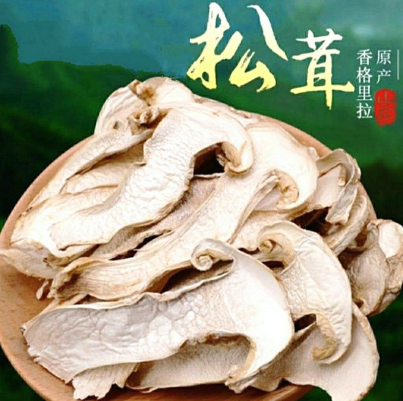 松茸云南特产松茸干片干净无杂菌香浓郁营养丰富包邮