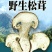 松茸云南特产松茸干片干净无杂菌香浓郁营养丰富包邮