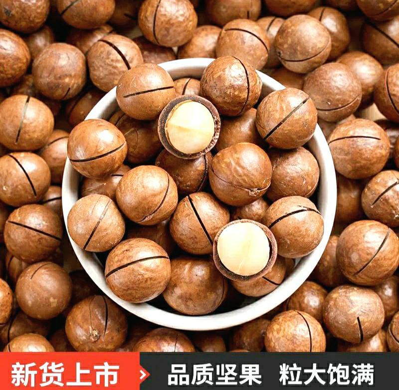 夏威夷果薄壳奶香夏威夷果口感爽脆美味坚果零食包邮
