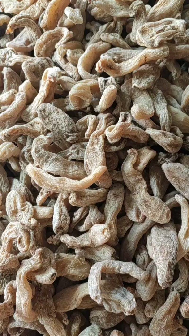 天麻干天麻昭通天麻乌天麻精品干天麻条子天麻子现货供应