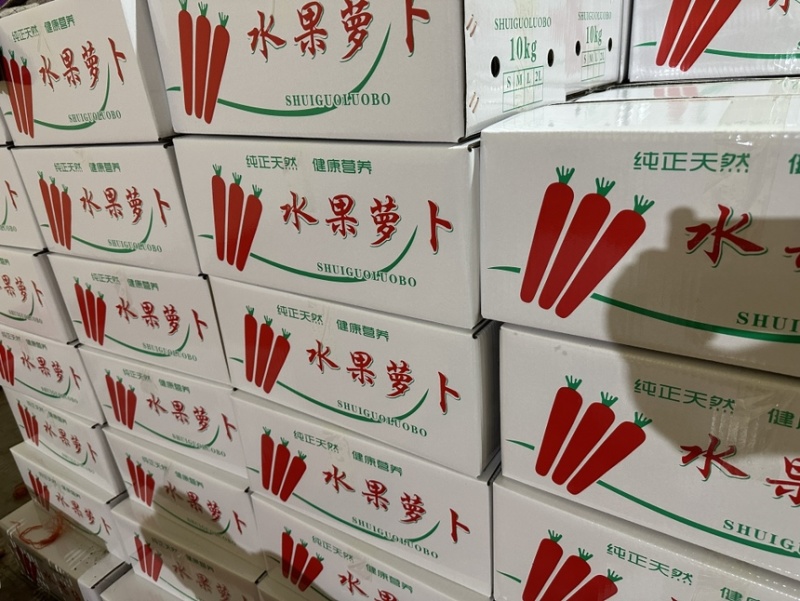 精品水果胡萝卜大量上市规格齐全价格合理欢迎批发