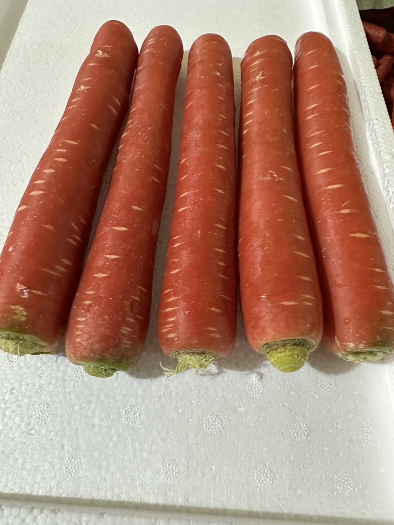 精品水果胡萝卜大量上市规格齐全价格合理欢迎批发