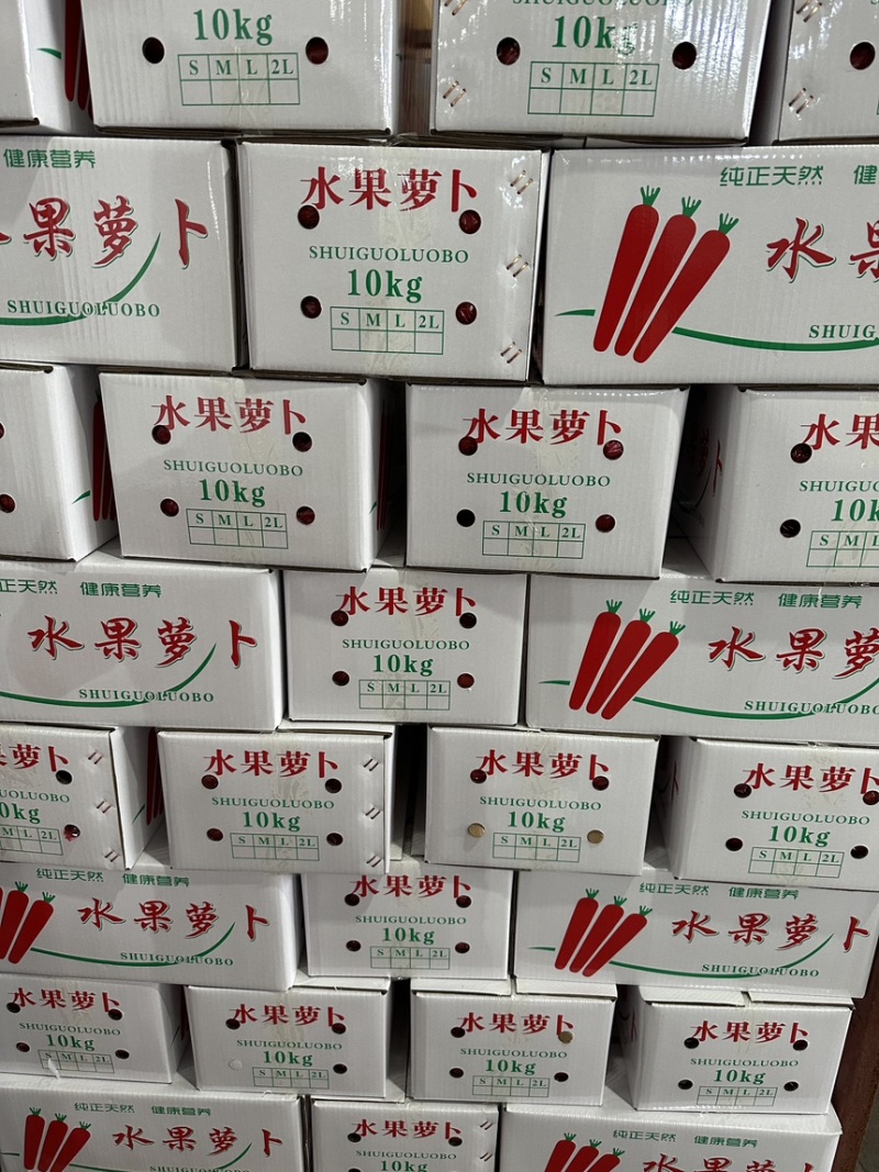 精品水果胡萝卜大量上市规格齐全价格合理欢迎批发
