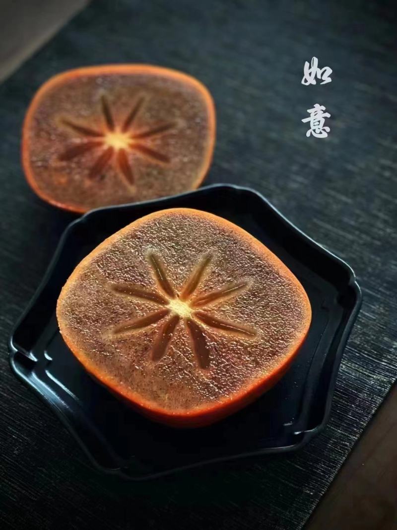 ‘辉太郎’脆甜柿，水果柿，对版正版好苗，现场挖苗死苗补发