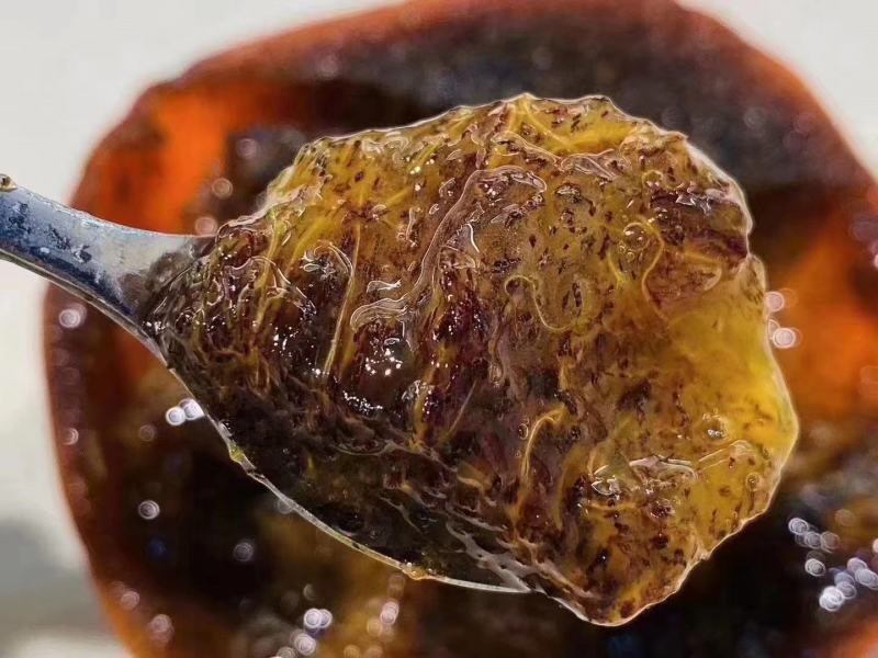 ‘辉太郎’脆甜柿，水果柿，对版正版好苗，现场挖苗死苗补发