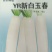 YR新白玉春（袋装）白萝卜种子