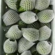 威海青皮无花果