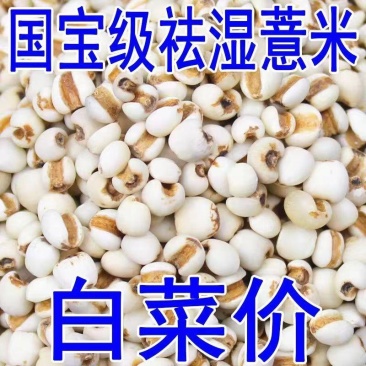 贵州薏米薏米贵州新货，2023新货薏米
