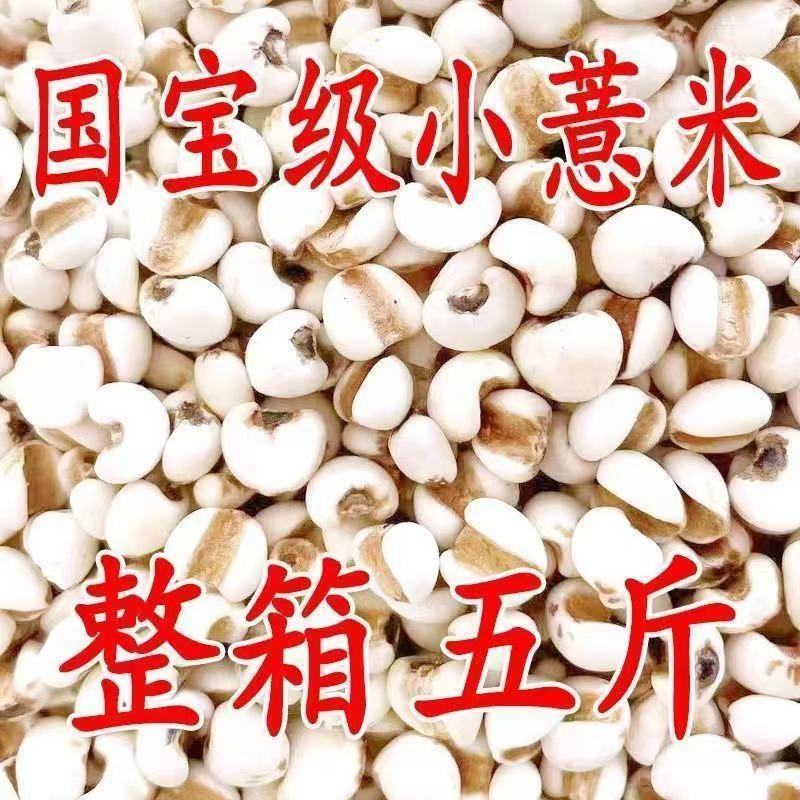 贵州薏米薏米贵州新货，2023新货薏米