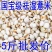 贵州薏米薏米贵州新货，2023新货薏米