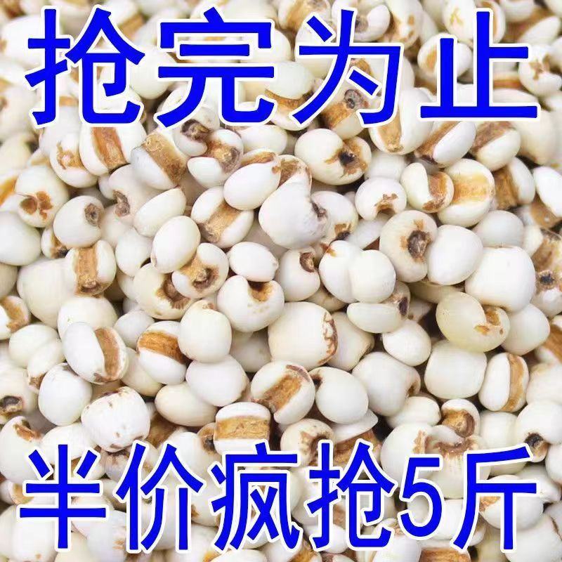 贵州薏米薏米贵州新货，2023新货薏米
